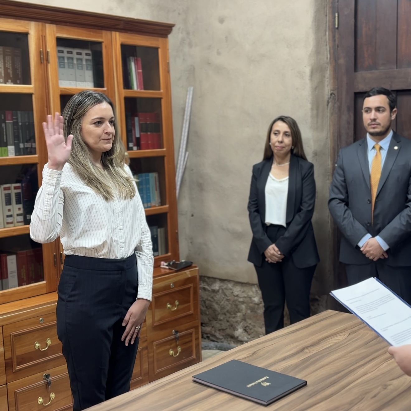 La Comisión Evaluadora, con nuevos integrantes